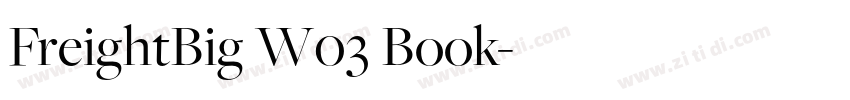 FreightBig W03 Book字体转换 FreightBig W03 Book字体转换